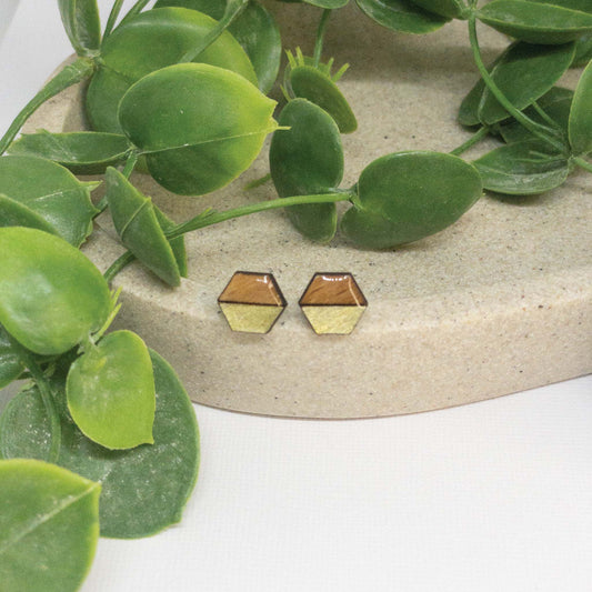 Bronze Glow | Wooden Stud Earrings