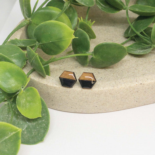 Black Luxury | Wooden Stud Earrings